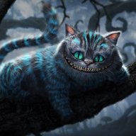 Madcat5